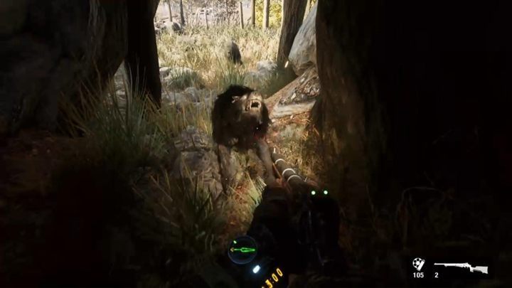 Appearance: if it looks like a wolf and it walks like a wolf - it must be a wolf - Metro Exodus: Mutants - Basics - Metro Exodus Guide