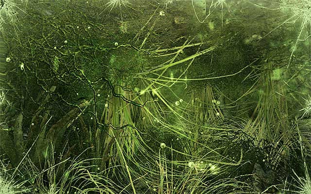 The swamp is a vast and dangerous area so, it is a good idea to learn several facts about it before you set out to find fuel - Find fuel for the ferry winch | Chapter 16: Sundown - Chapter 16: Sundown - Metro: Last Light Game Guide