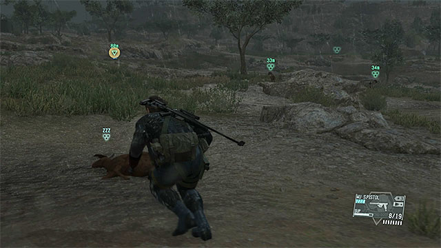 You find the goats close to outpost 20 - Remaining Close Contact - secondary mission objectives | Walkthrough - Mission 24 - Close Contact - Metal Gear Solid V: The Phantom Pain Game Guide & Walkthrough
