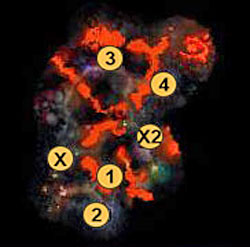 1 - Sigil of Arkath (+5 to magic defence for a week - 1st mission - The Fury and the Mire - Maps - Campaign - Might & Magic: Heroes VI Game Guide