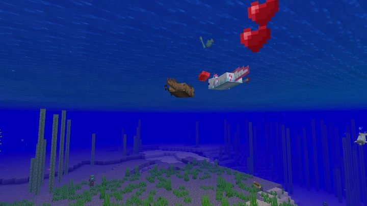 If you help them, they will regenerate your health - Minecraft Caves & Cliffs: Axolotl - occurrence, usage - Mobs - Minecraft Guide