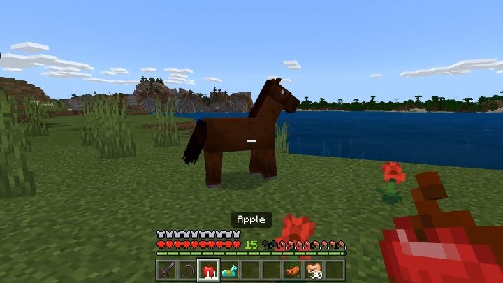 Before you get on a horse, you have to get his sympathy - Minecraft: Mounts - Mobs - creatures of the world - Minecraft Guide