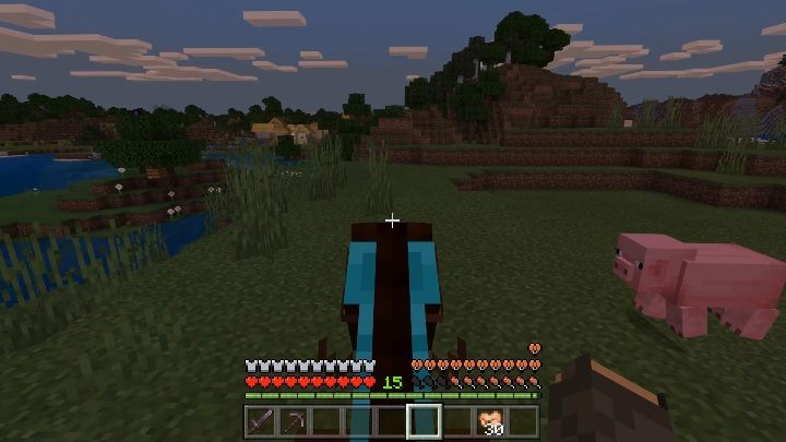 To ride a pig you need - Minecraft: Mounts - Mobs - creatures of the world - Minecraft Guide
