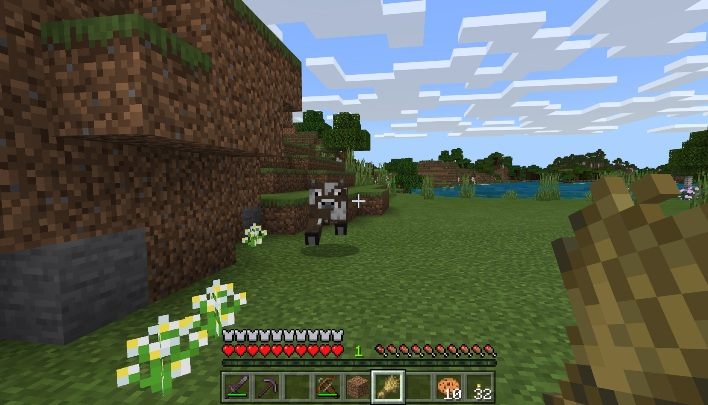Before you start breeding animals, you have to summon them out - Minecraft: Animal husbandry - how to breed? - Village life - Minecraft Guide