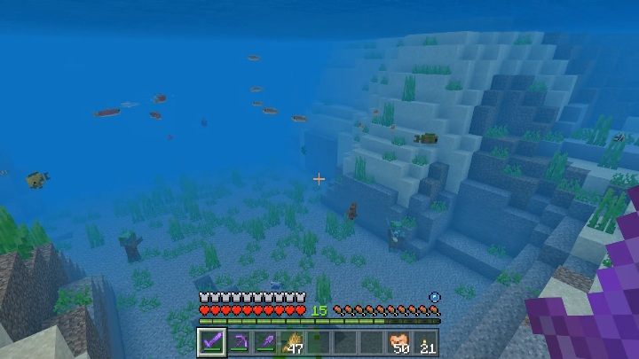 The occurrence of fish depends on their species - Minecraft: Fish - Mobs - creatures of the world - Minecraft Guide