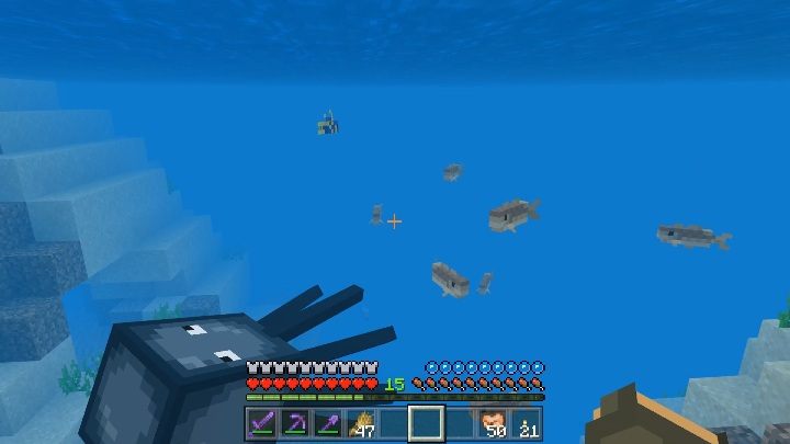 The fish usually swim in shoals - Minecraft: Fish - Mobs - creatures of the world - Minecraft Guide