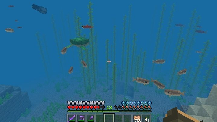 Obviously, fish cannot survive outside of water - Minecraft: Fish - Mobs - creatures of the world - Minecraft Guide