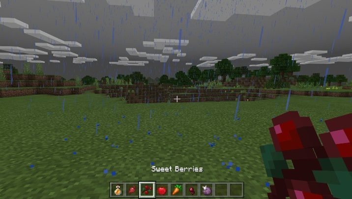 You get Sweet Berries from a sweet berries bush - Minecraft: Food - recipes, list, crafting - Recipes - Minecraft Guide