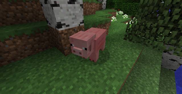 Pigs usually move in flocks - Minecraft: Animals, mobs - Mobs - creatures of the world - Minecraft Guide