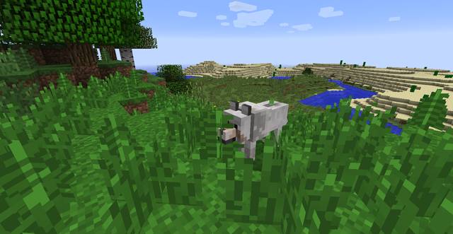 Aggressive wolves growl and straighten their tail - Minecraft: Animals, mobs - Mobs - creatures of the world - Minecraft Guide