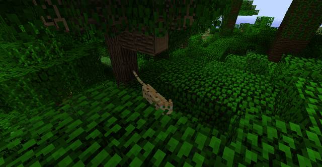 Ocelots appear only in a jungle - Minecraft: Animals, mobs - Mobs - creatures of the world - Minecraft Guide