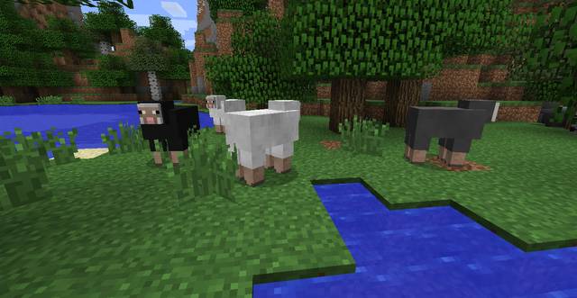 Sheep usually live in flocks - Minecraft: Animals, mobs - Mobs - creatures of the world - Minecraft Guide
