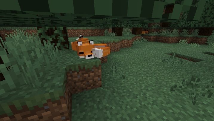 They live in taiga and its snowy version - Minecraft: Animals, mobs - Mobs - creatures of the world - Minecraft Guide