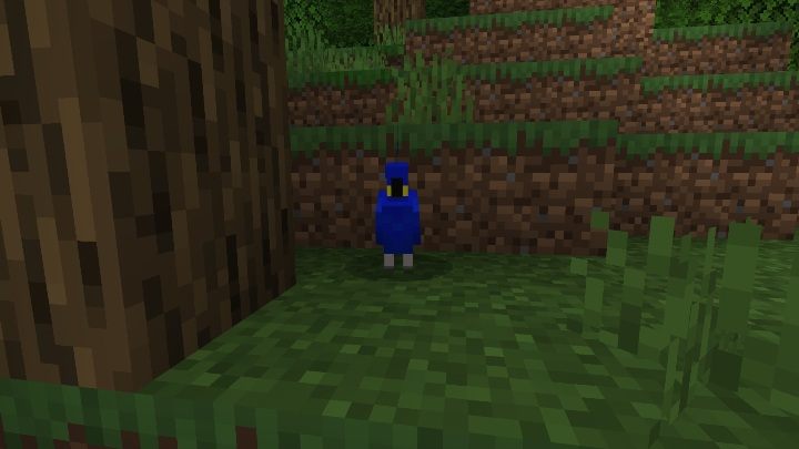 Parrots live in jungles - Minecraft: Animals, mobs - Mobs - creatures of the world - Minecraft Guide