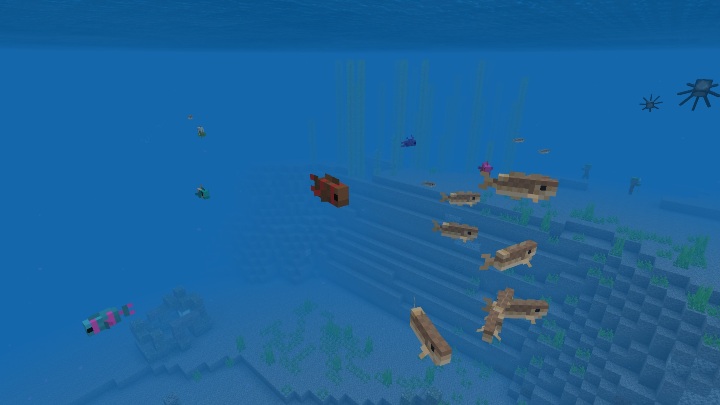 Fish can be found in oceans and rivers - Minecraft: Animals, mobs - Mobs - creatures of the world - Minecraft Guide