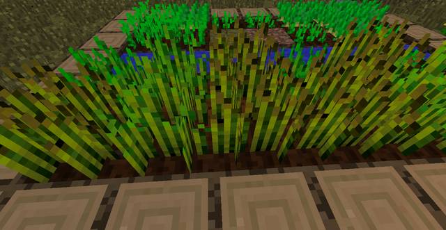 Wheat - Minecraft: Pie - how to bake? Step by step - FAQ - Minecraft Guide