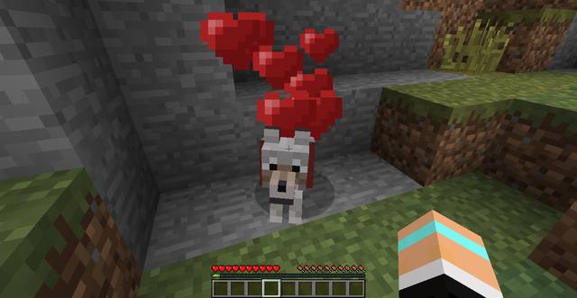 Pies - Minecraft: Dog/cat - how to tame? - FAQ - Minecraft Guide