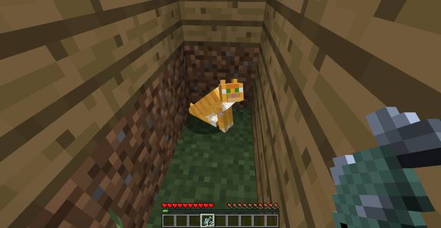The cat - Minecraft: Dog/cat - how to tame? - FAQ - Minecraft Guide