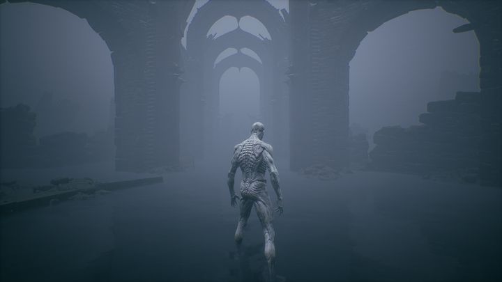 When your character gets up, go straight ahead - Mortal Shell: Tutorial walkthrough - Walkthrough - Mortal Shell Guide, Walkthrough