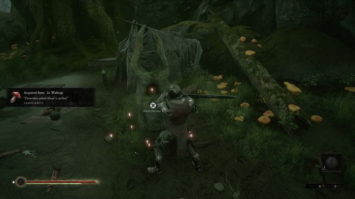 To the right of the mushrooms is an encampment with the first inscription - an item which will allow you to learn more about the story - Mortal Shell: Fallgrim walkthrough - Walkthrough - Mortal Shell Guide, Walkthrough