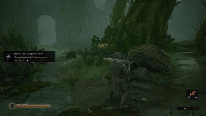 In front of you, there is the path leading to the Crypt of Martyrs - Mortal Shell: Fallgrim walkthrough - Walkthrough - Mortal Shell Guide, Walkthrough