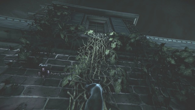 The cat is a very nimble animal. - Chapter 2 - Finding the Witness - Main investigations - Murdered: Soul Suspect - Game Guide and Walkthrough