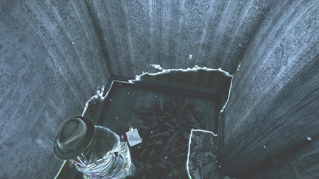 You already know a lot about Julia. - Chapter 8 - Julias Thoughts (8) - Collectibles - Murdered: Soul Suspect - Game Guide and Walkthrough