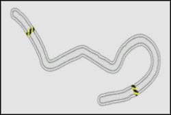 Drift: Drift Track D - Willow Springs - Super Promotion - Need For Speed: ProStreet - Game Guide and Walkthrough
