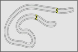 Drift: Drift Track B - Ebisu - Noise Bomb - Need For Speed: ProStreet - Game Guide and Walkthrough