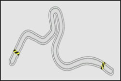 Drift: Drift Track F - Autopolis - Noise Bomb - Need For Speed: ProStreet - Game Guide and Walkthrough