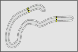 Drift: Drift Track E - Autopolis II - Noise Bomb - Need For Speed: ProStreet - Game Guide and Walkthrough