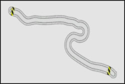 Top Speed Run: Fukushima B - Ebisu - Nitrocide - Need For Speed: ProStreet - Game Guide and Walkthrough