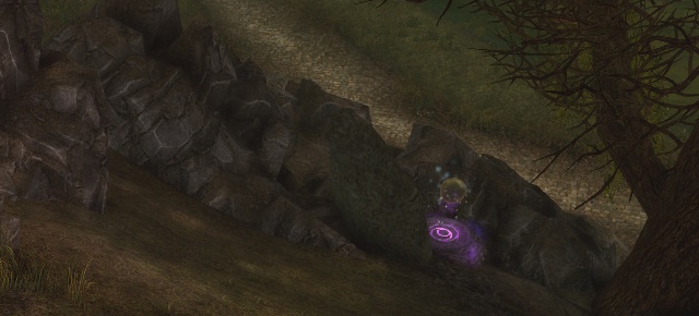 Every icon existing in game is explained in section Map and map icons - Ebon Downs (35-37) - Maps - Neverwinter - Game Guide and Walkthrough