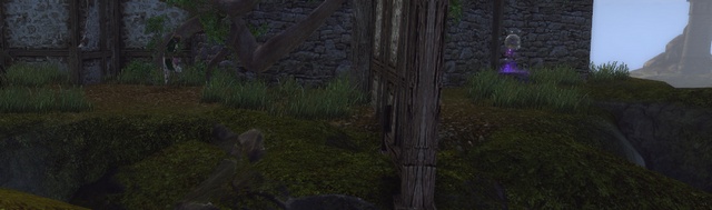 Every icon existing in game is explained in section Map and map icons - Pirates Skyhold (42-45) - Maps - Neverwinter - Game Guide and Walkthrough