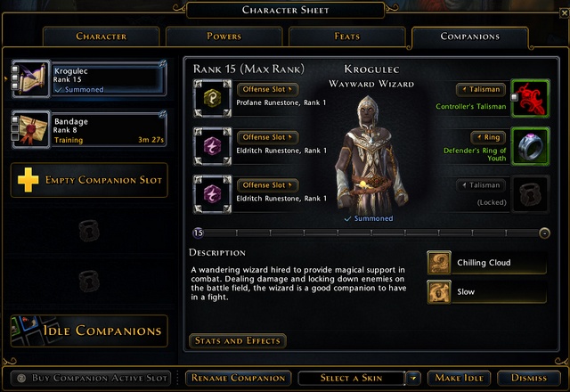 Companions can have 3 runes and 3 items equipped, you can view your companions equipment and other details by pressing