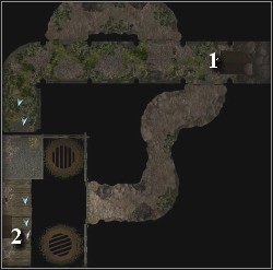 Only fire and acid can kill the troll - Side Quests - After the quest: Unexpected Message - Side Quests - Neverwinter Nights 2: Mysteries of Westgate - Game Guide and Walkthrough