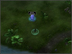 Vadin'ya will tell you about a boar - Bal'alak roaming the plains - Samarach - Locations - Samargol - Samarach - Neverwinter Nights 2: Storm of Zehir - Game Guide and Walkthrough