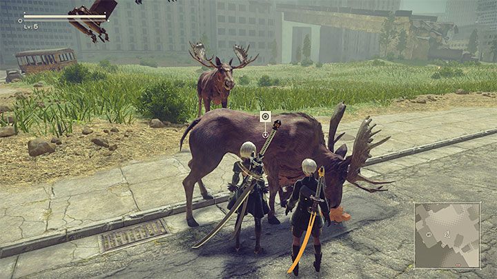Wait for a wild animal to come - NieR Automata: Animals - how to tame? - FAQ - NieR Automata Guide
