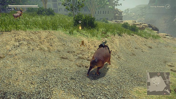 You can start traveling on the back of the tamed animal - NieR Automata: Animals - how to tame? - FAQ - NieR Automata Guide
