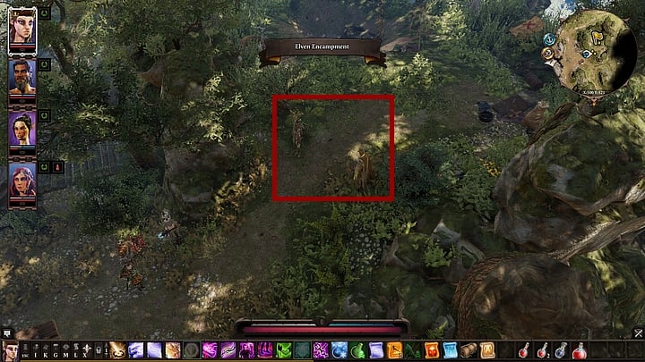 When you arrive at the camp, you will find an elf during a mysterious ritual - Remaining quests | Reapers Coast - Chapter IV - Reapers Coast - Divinity Original Sin 2 Guide