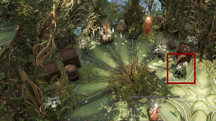 In the Temple Of Tir-Cendelius next to Alexander, you will see Gareth - Seeking Revenge | Nameless Issle - Chapter V - Nameless Isle - Divinity Original Sin 2 Guide