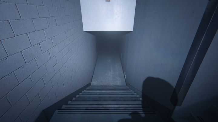 Descend down the stairs - Computer Lab | Judges | Walkthrough - Judges - Outlast 2 Game Guide