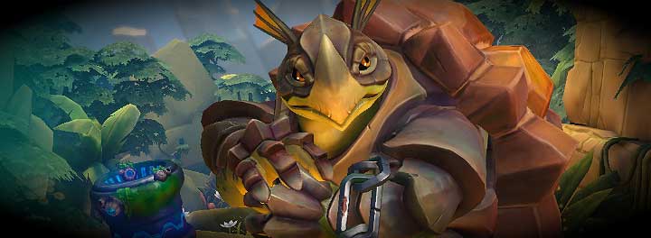 Makoa is a great defender - not only he has a large supply of health points, but he can also soak damage without losing any of his health points - List of Heroes - Heroes - Paladins: Champions of the Realm Game Guide