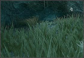 You'll start at an 'oasis', in which you've finished the previous stage - On Kong's Tracks - Walkthrough - Peter Jacksons King Kong - Game Guide and Walkthrough