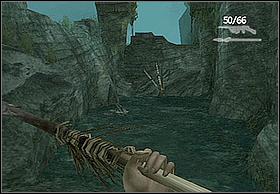 By going right, you'll reach a place where water with fish will be surrounded by rock from three sides - Ann - Walkthrough - Peter Jacksons King Kong - Game Guide and Walkthrough