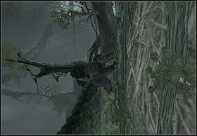Again, climb the wall from the end of the shelf and approach its end - Kong - Walkthrough - Peter Jacksons King Kong - Game Guide and Walkthrough