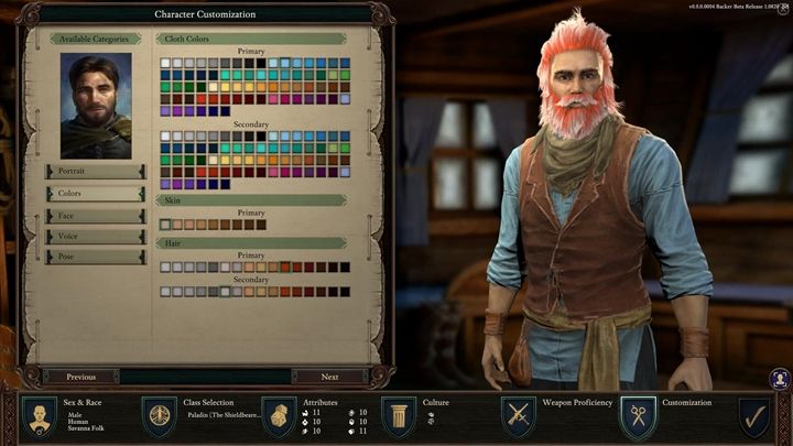 Finally, the game asks you to choose the name for your character - Pillars Of Eternity 2: Finalizing the character creation - Pillars Of Eternity 2: Character progression - Pillars Of Eternity 2 Deadfire Game Guide