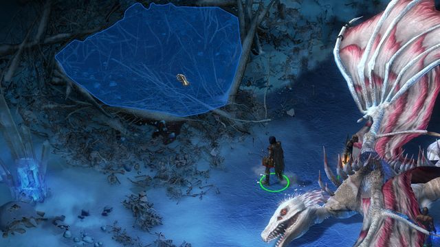 If you decide to kill the dragon, dont forget about looting his lair. - His Better Half - side quest | Pillars of Eternity The White March - Longwatch Falls - Pillars of Eternity Game Guide & Walkthrough