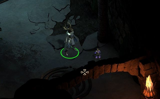 In the Animats Room, you will find the Tiny Animat, who is going to follow you during the game. - Cliaban Rilag Ruins M33 | Pillars of Eternity - Cliaban Rilag and Elmshore - Pillars of Eternity Game Guide & Walkthrough