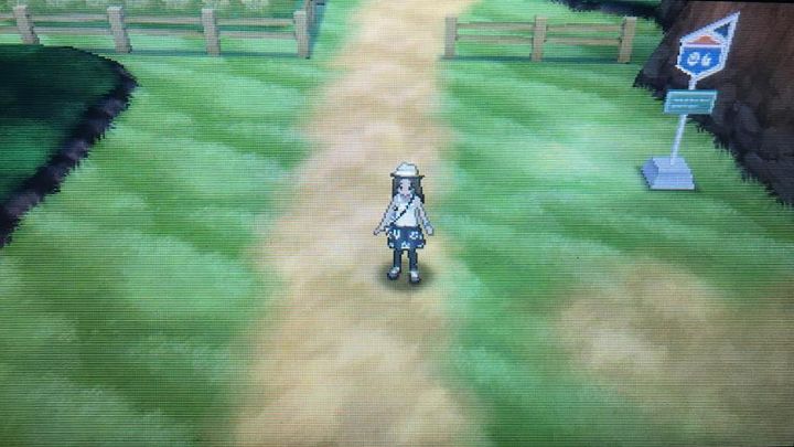 I wonder what I will catch this time - Route 5, Brooklet Hill, Route 6 and Battle Royal Dome | Walkthrough - Game walkthrough - Pokemon Moon Game Guide